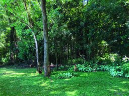 OM-E2-S1 Garden