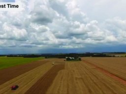 Harvest Jan 2024