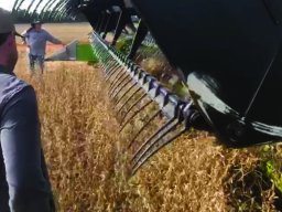 Harvest Jan 2024