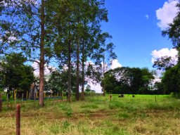 OM-E4 Updates